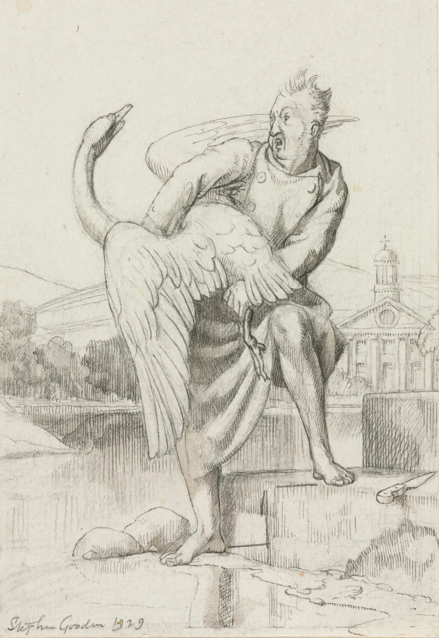 The Swan and the Cook by Stephen Gooden