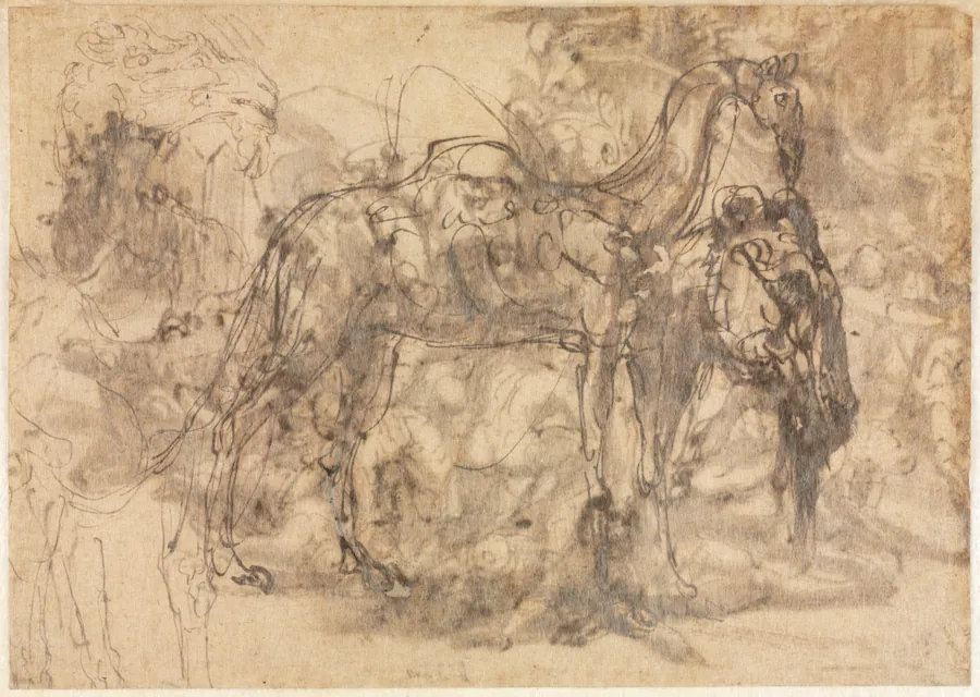 Sketches of Animals (verso) by Perino del Vaga