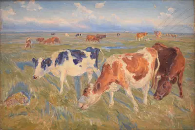 Græssende køer. Saltholm