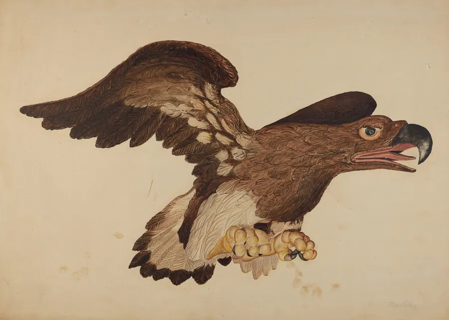 Carved Wooden Eagle by Robert Gilson