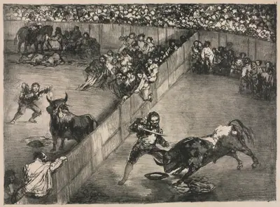The Bulls of Bordeaux:  Bullfight in a Divided Ring