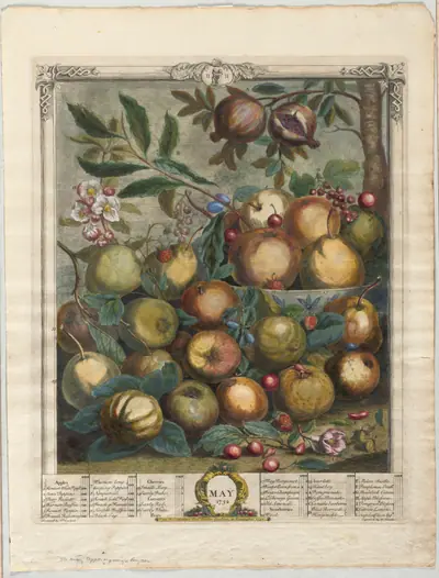 Twelve Months of Fruit: May