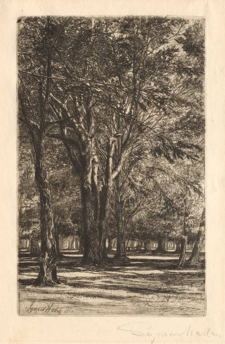 Kensington Gardens, No. 2 (Large Plate) by Francis Seymour Haden