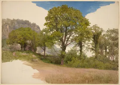 Trees Profiled against the Sky