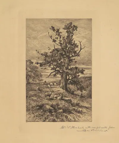 Landscape with Sheep