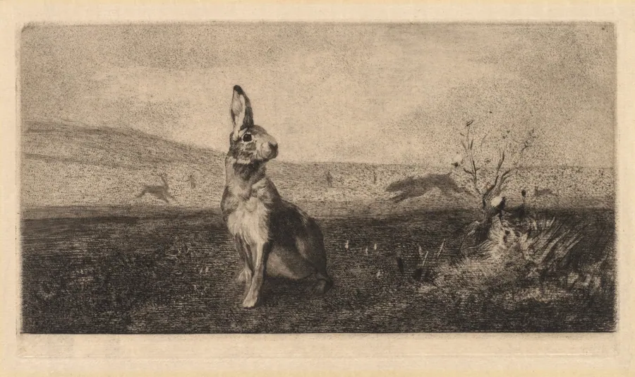 The Hare (Le Lièvre) by Albert de Balleroy