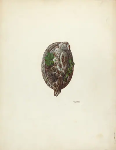 Door Knocker