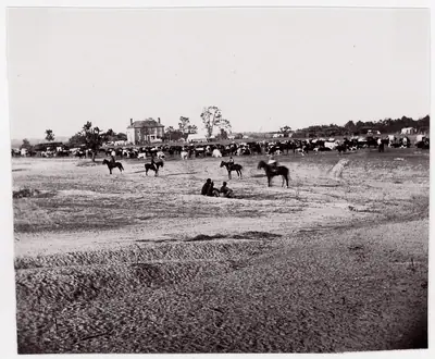 [Herd of Horses].  Brady album, p. 123
