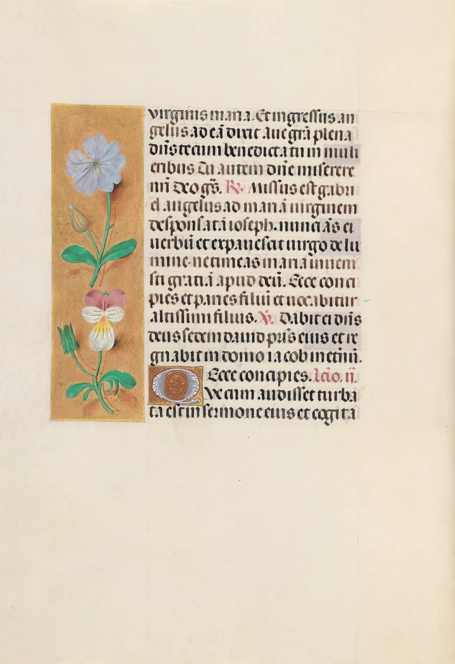 Hours of Queen Isabella the Catholic, Queen of Spain:  Fol. 162v by Master of the First Prayerbook of Maximillian
