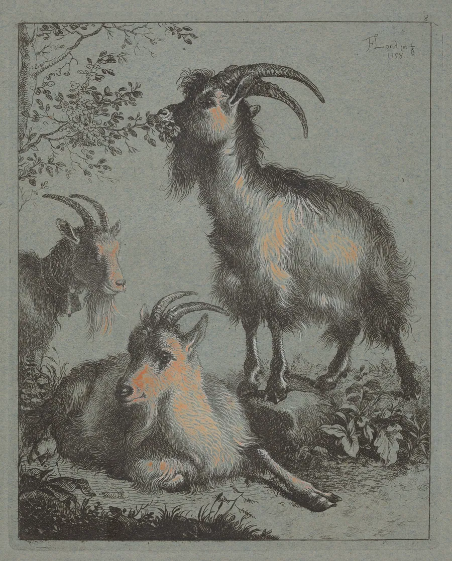 Three Goats by Francesco Londonio