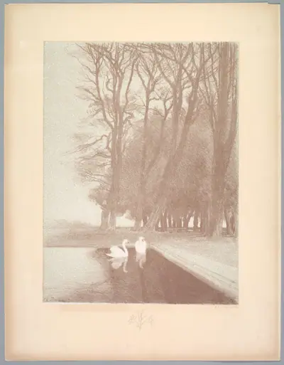 Suite de Paysages: Landscape, Plate 6, Remarque, Lilies