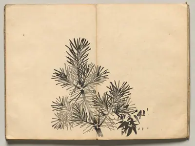 Young Pine from Ōkyo Picture Book