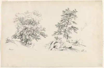 Chestnut and Pine