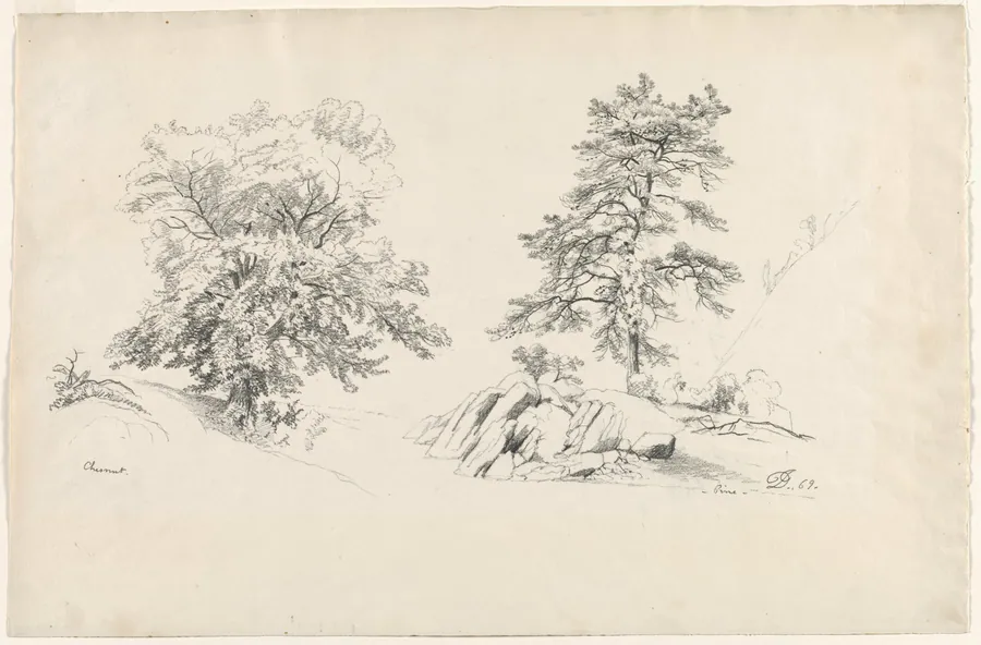 Chestnut and Pine by David Johnson