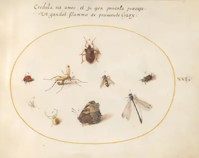 Plate 21: A Butterfly with a Dragonfly, a Ladybug, and Five other Insects