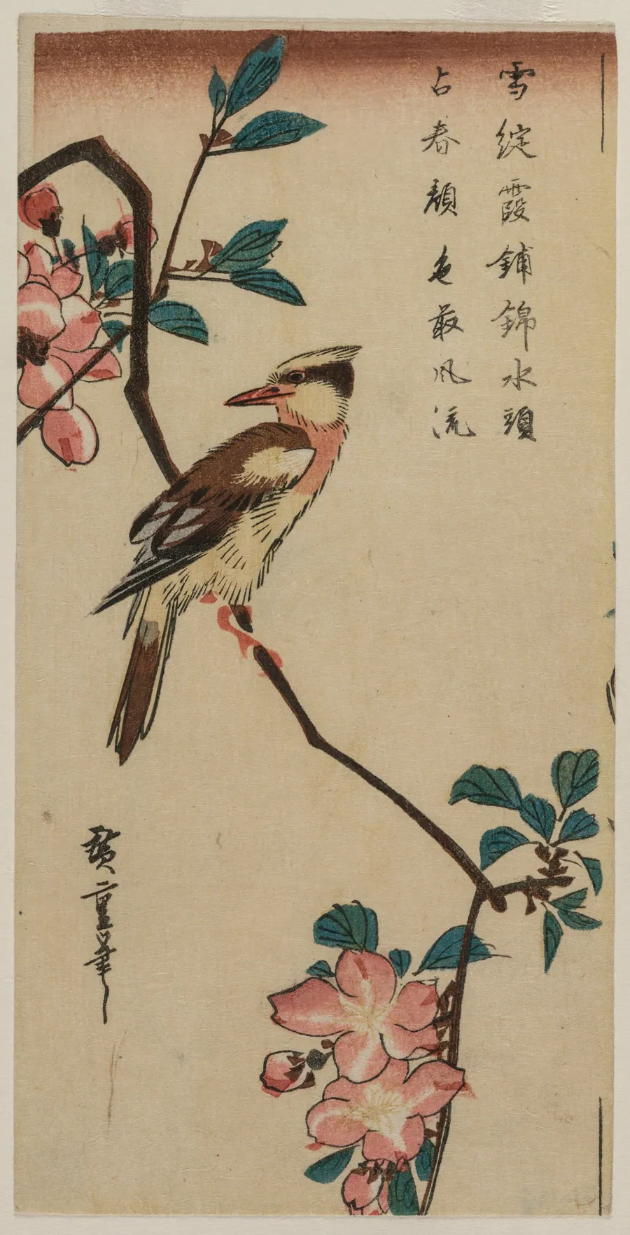 Black-Naped Oriole (Korean Warbler) on a Hall Crabapple by Utagawa Hiroshige