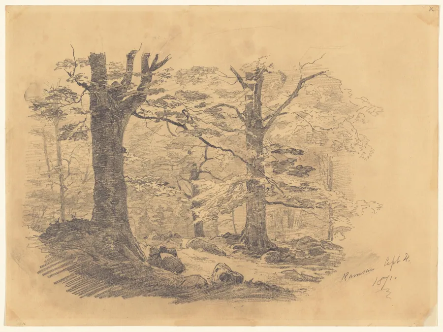 Forest, Ramsau, Germany by John Singer Sargent