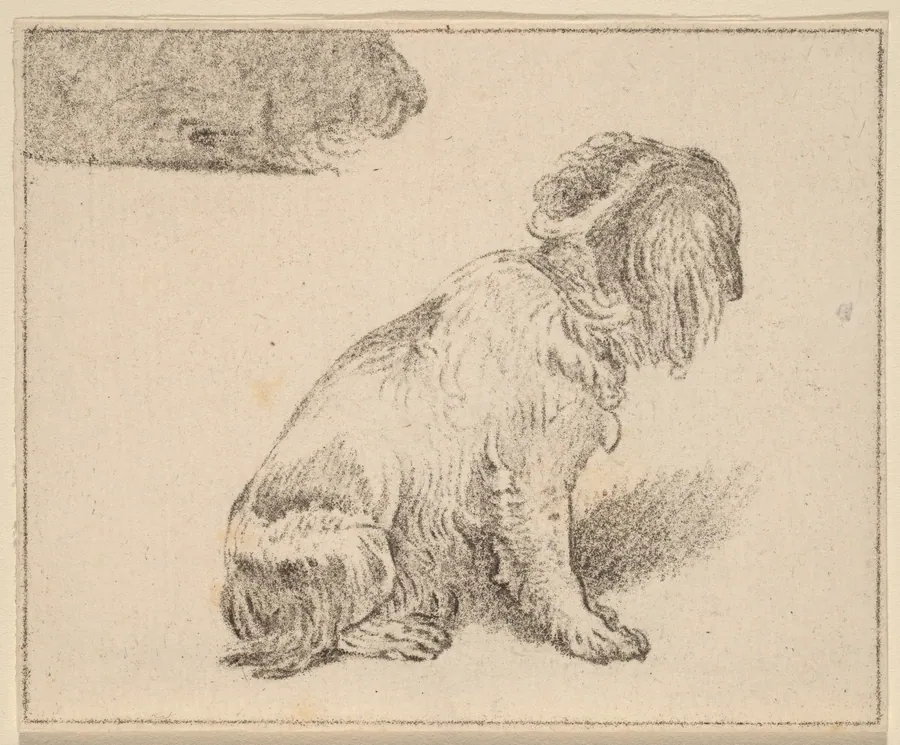 Seated Dog by Cornelis Ploos van Amstel
