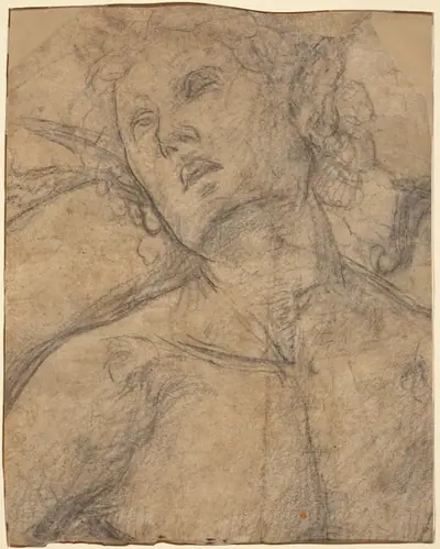 Bust of a Youth Looking Upward [recto]