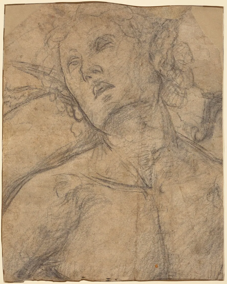 Bust of a Youth Looking Upward [recto] by Luca Signorelli
