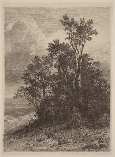 Grove of Trees