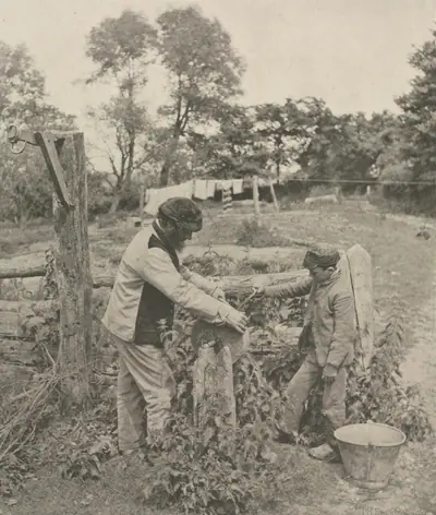 At the Grindstone--A Suffolk Farmyard