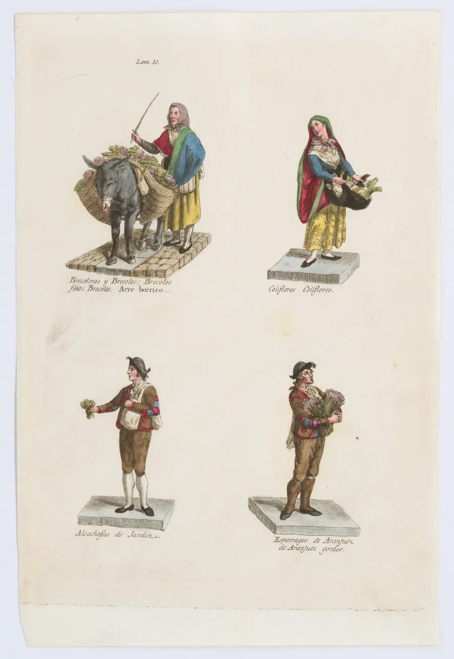 Plate 10: four street vendors from Madrid selling broccoli, cauliflower, artichokes, and asparagus, from 'Los Gritos de Madrid' (The Cries of Madrid) by Miguel Gamborino