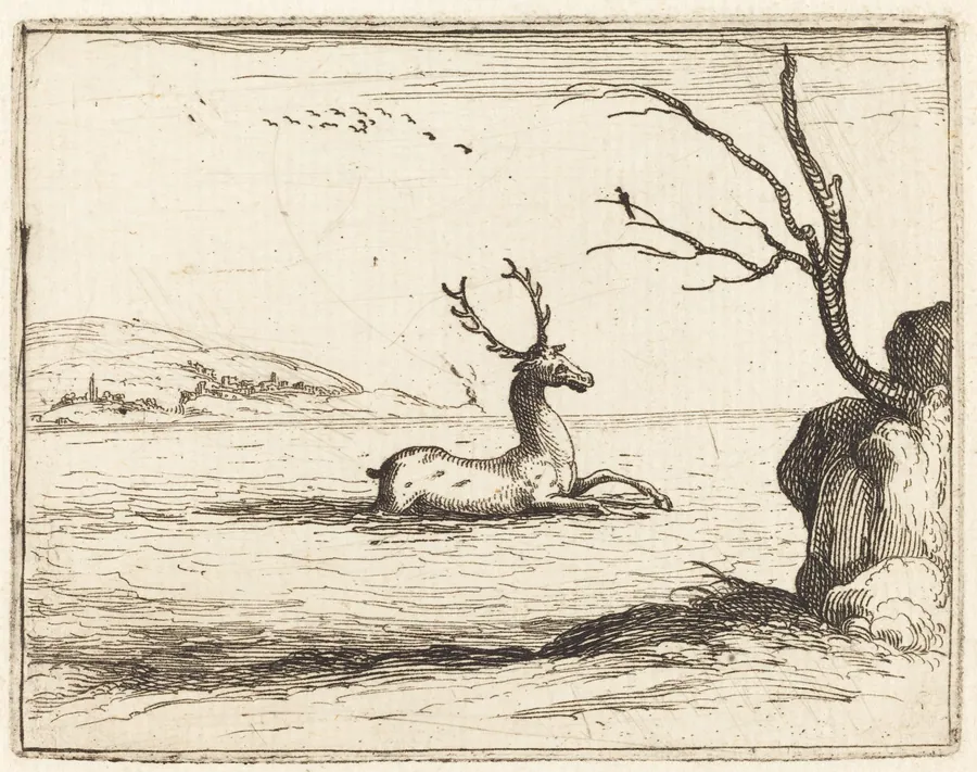 Stag in the Water by Jacques Callot