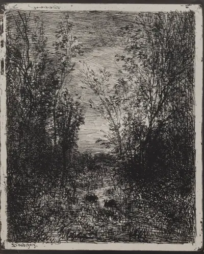 A Stream in a Glade