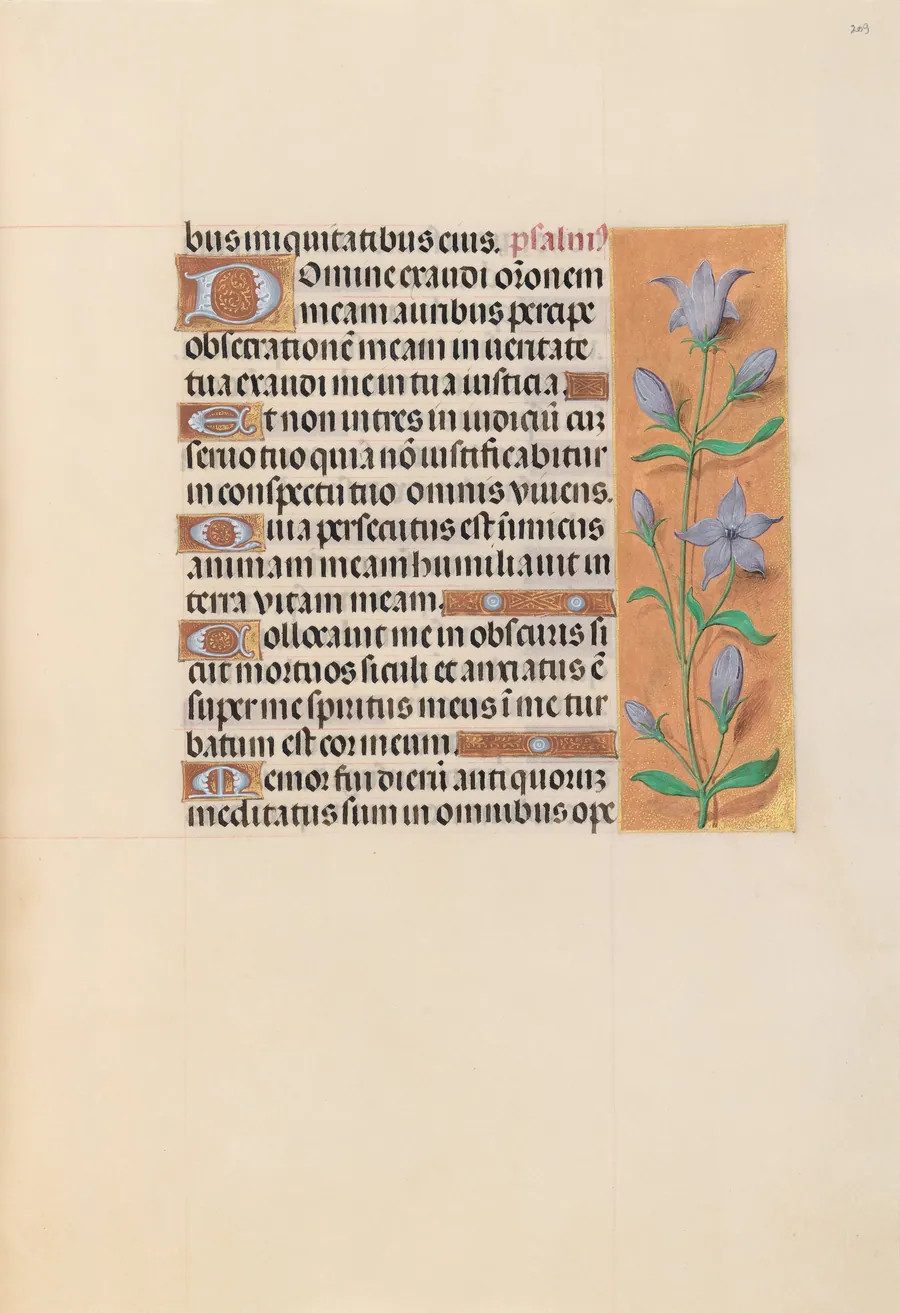 Hours of Queen Isabella the Catholic, Queen of Spain:  Fol. 209r by Master of the First Prayerbook of Maximillian
