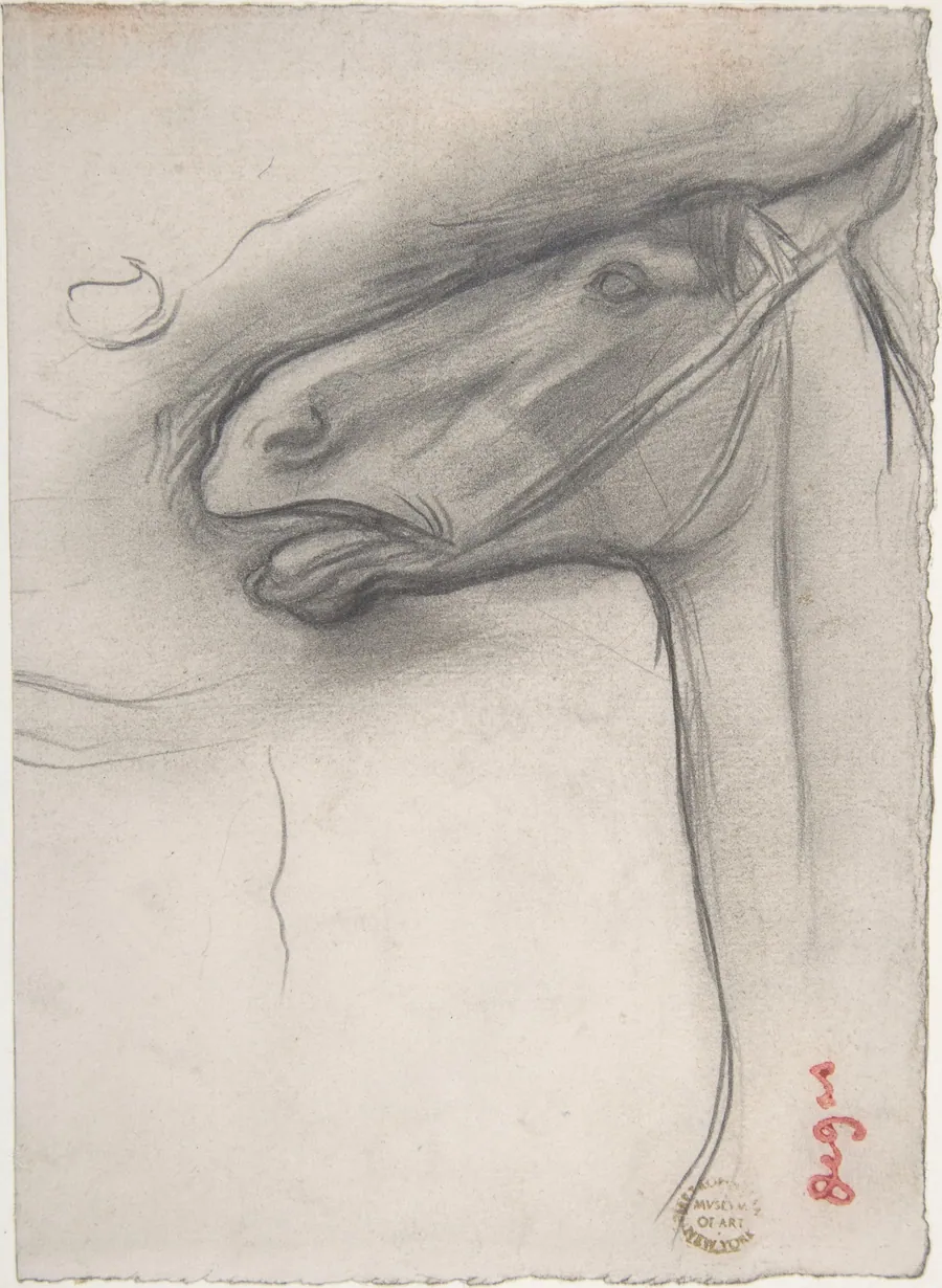 Head of a Horse by Edgar Degas