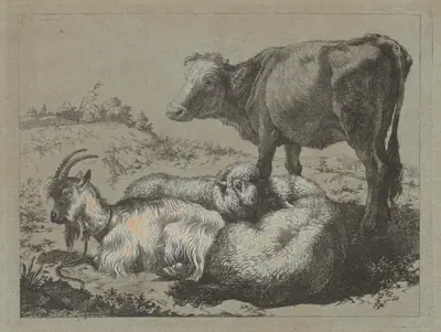 Standing Ox, Two Sheep, and a Goat