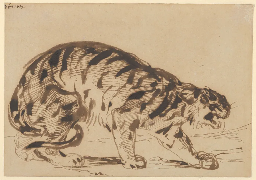 Crouching Tiger by Eugène Delacroix