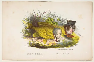 Son Fish and Sucker, from The Comic Natural History of the Human Race