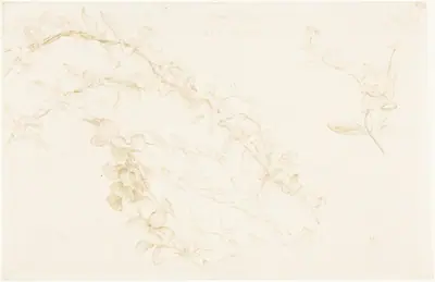 Honeysuckle