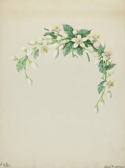 Costume Accessory (Orange Blossoms)