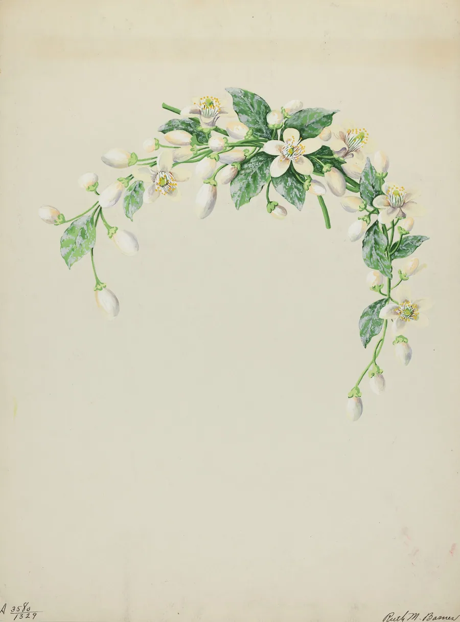 Costume Accessory (Orange Blossoms) by Ruth M. Barnes