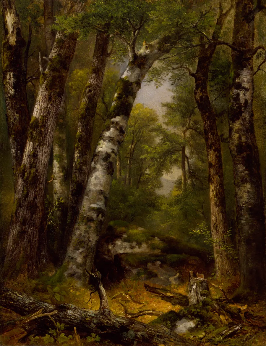 Woodland Glen by Asher B. Durand, born Jefferson Village, NJ 1796-died Maplewood, NJ 1886
