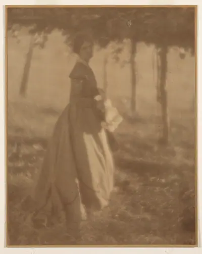 In the Arbor