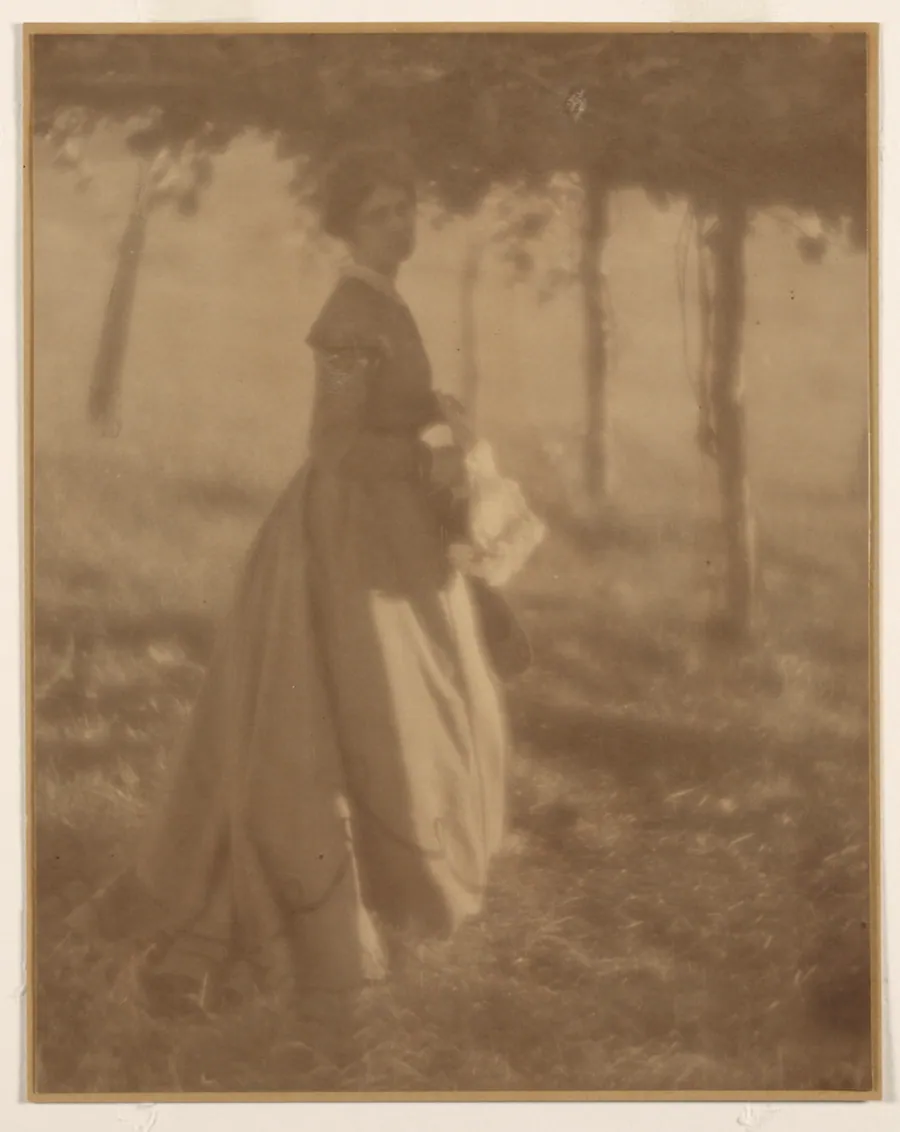 In the Arbor by Clarence H. White