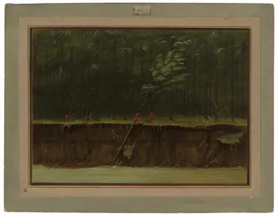 View of the Lower Mississippi