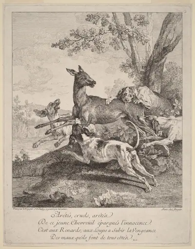 A Deer Attacked by Dogs
