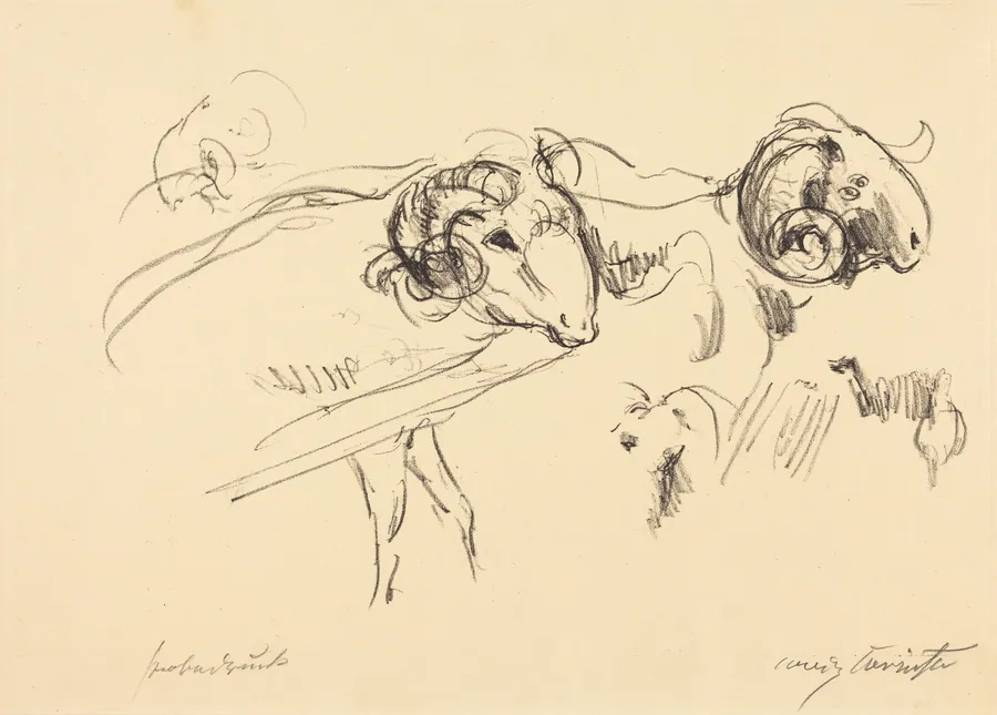 Schafböcke (Rams) by Lovis Corinth