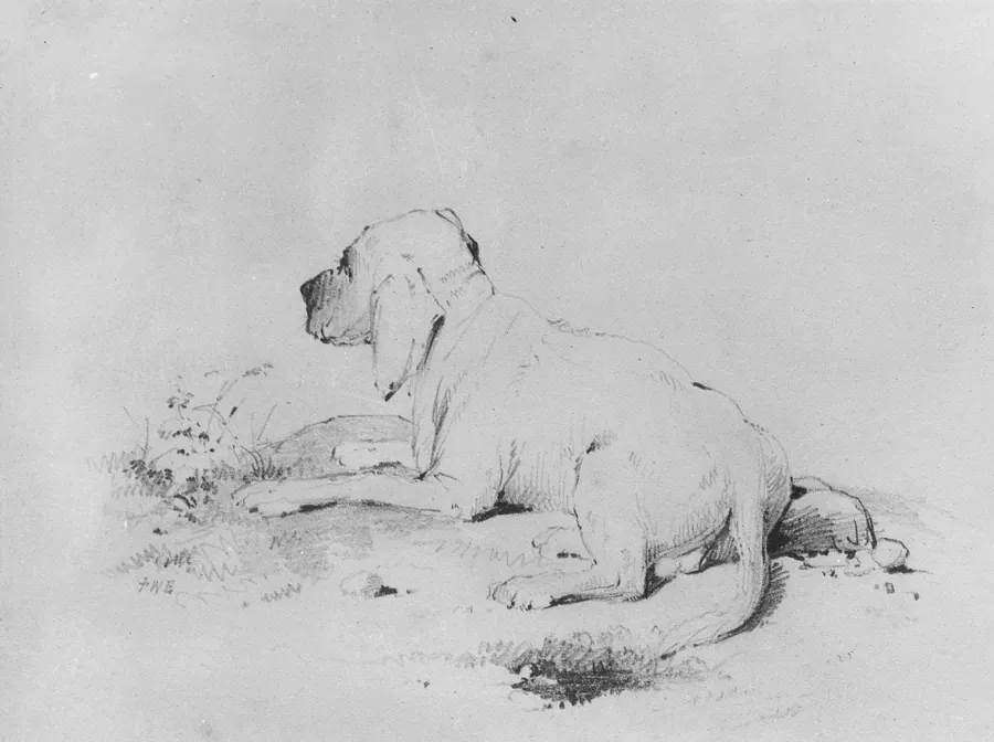Dog (from McGuire Scrapbook) by Francis William Edmonds