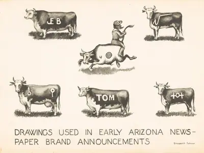 Newspaper Brand Announcements