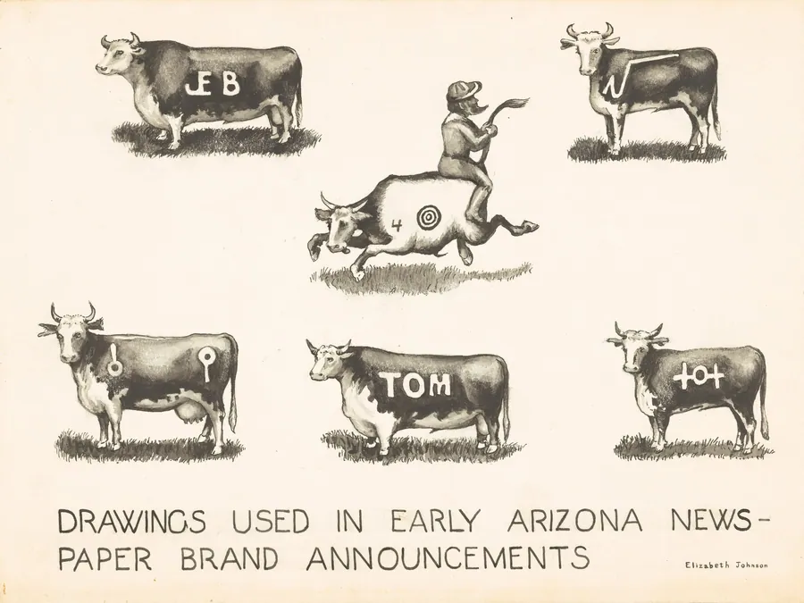 Newspaper Brand Announcements by Elizabeth Johnson