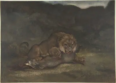 Lion Devouring Prey