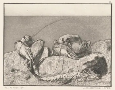 Siesta I: pl.3