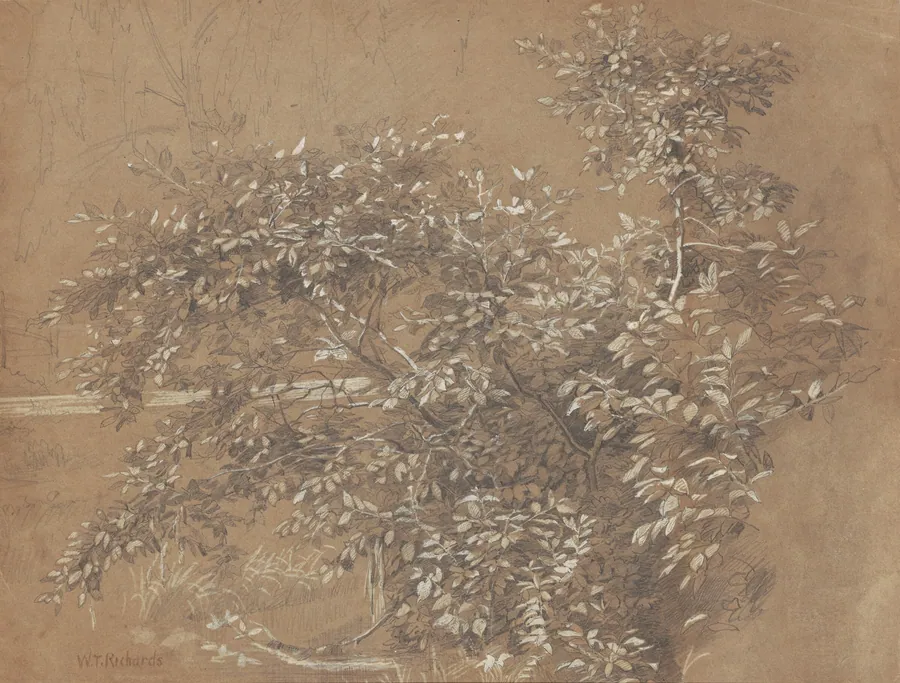 Foliage by William Trost Richards
