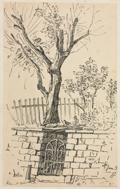 Tree on Top of a Stone Wall, Cleveland